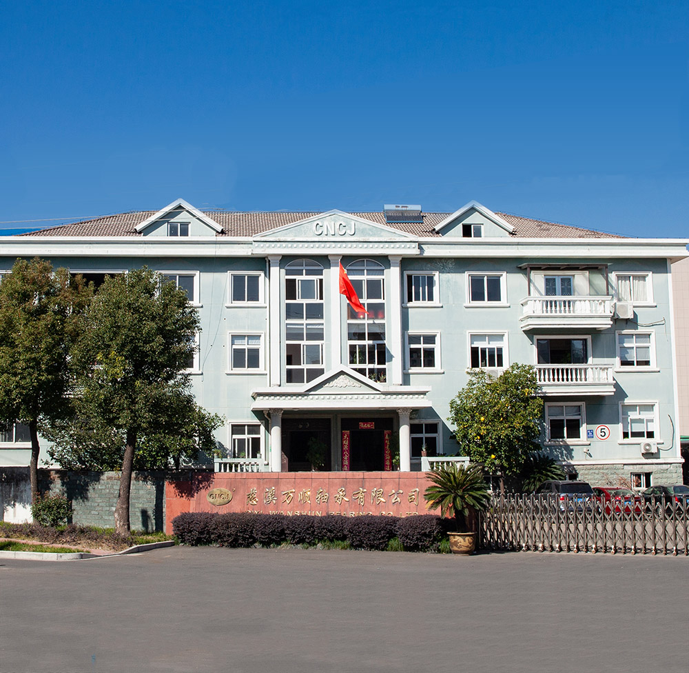 Ningbo Wanshun cuscinetto Co., Ltd.
