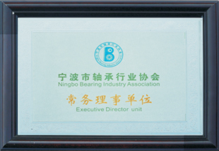 Ningbo Wanshun cuscinetto Co., Ltd.