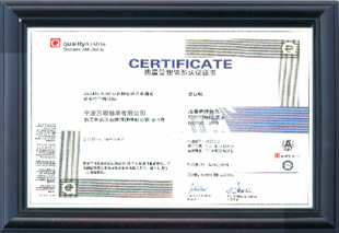 Ningbo Wanshun cuscinetto Co., Ltd.